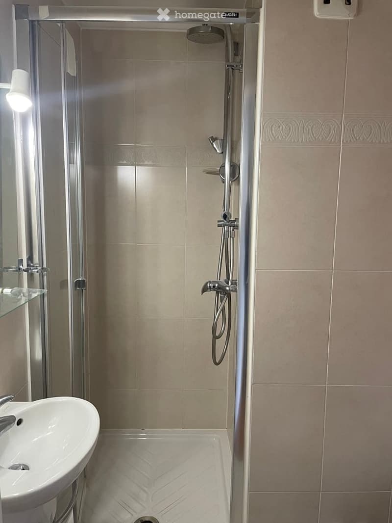 shower, sink, mirror, tiled walls, shower head, shower hose