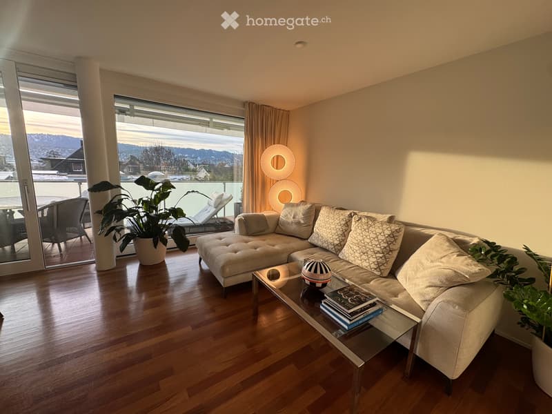3.5 Wohnung in Küsnacht ZH (1)