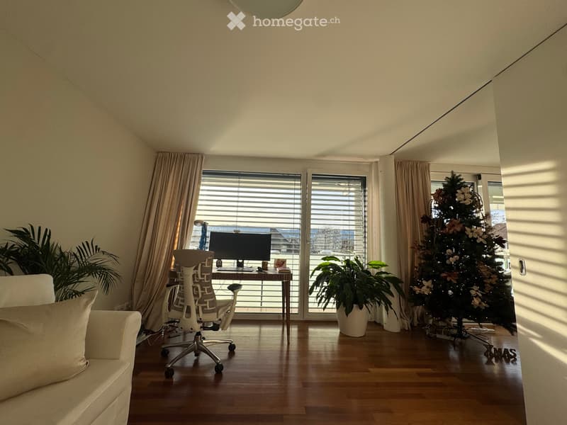 3.5 Wohnung in Küsnacht ZH (5)