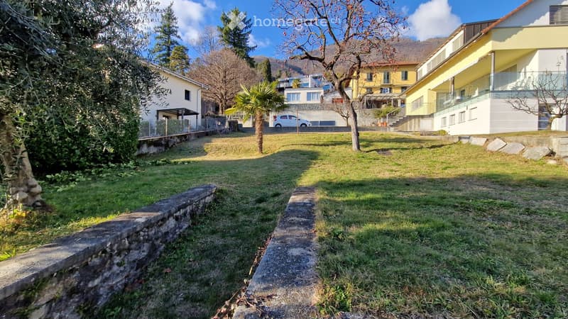 grass, stone path, trees, shrubs, path leading to buildings, car parked near houses