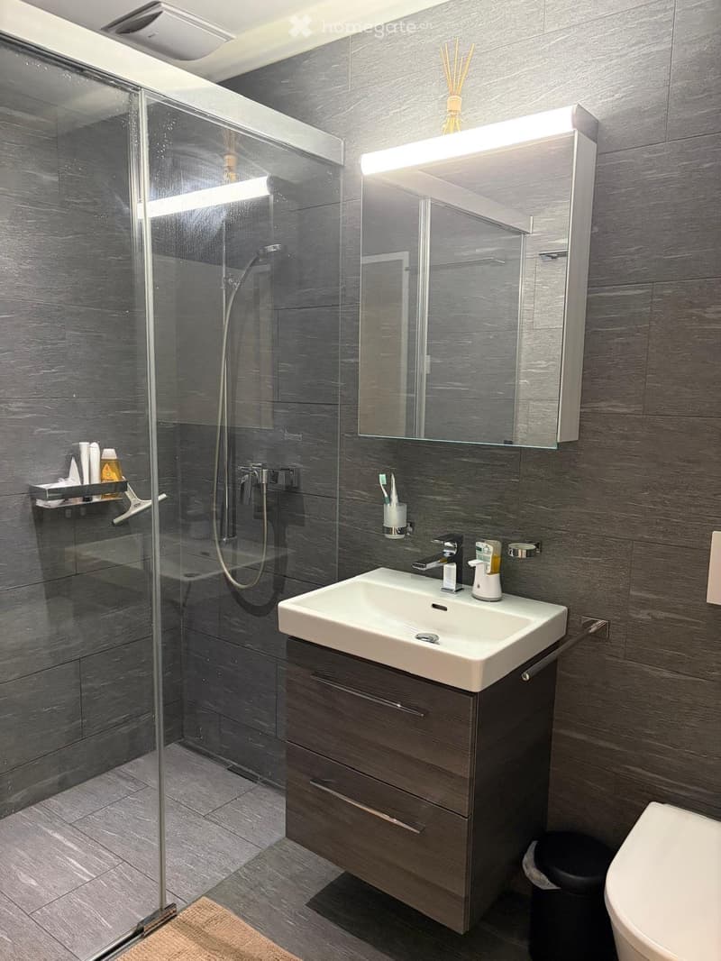 modern bathroom with glass shower, white sink, wooden cabinet, mirror, toilet, trash can