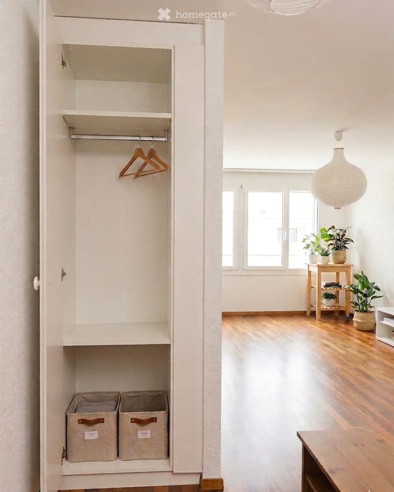 A white wardrobe with two storage boxes, a wooden hanger, and a wooden floor. A white shelf with potted plants is on the right side. A white lamp is hanging from the ceiling. A wooden table is on the right side, and a white cabinet is on the right side.