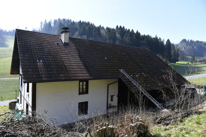 white house, brown roof, chimney, ladder leaning on the wall, car parked in front