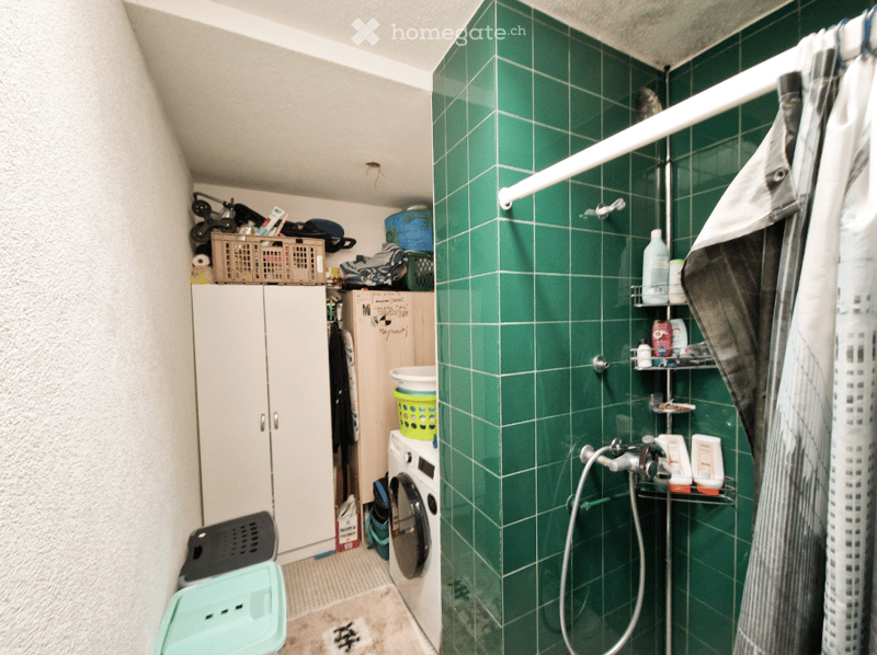 washer, shower area with shelves, a small shelf for towels, storage boxes and bins