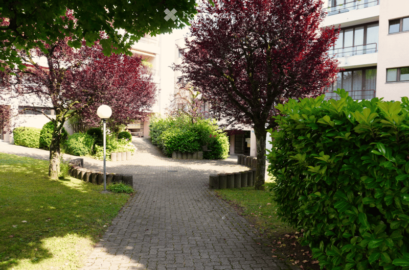 A walkway lined with trees and bushes leads to the entrance of a building. There is a lamp on the pathway and a garden area with various plants and shrubs. The area is enclosed by hedges and there is a shadow cast on the ground.