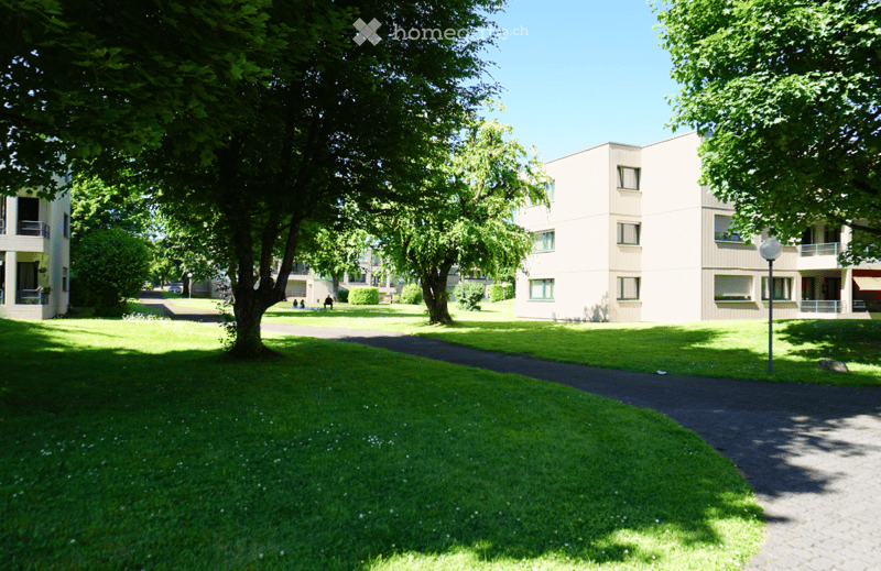 green lawn, tall trees, path in the middle, building with balconies