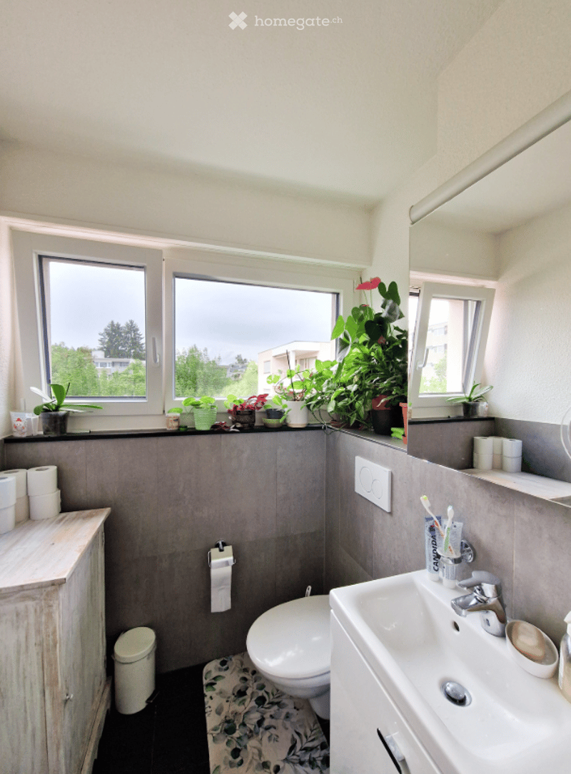 A white sink and toilet in a small bathroom with gray walls. A window is open to let in natural light. Potted plants are on the window sill. There is a toilet paper holder, toilet, and a trash can. A wooden cabinet is placed in the corner. The bathroom ha