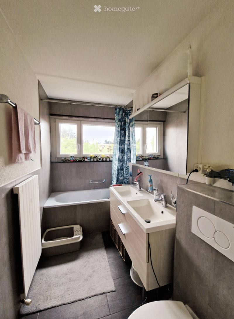 Bathroom with bathtub, double sink, mirror, radiator, cat litter box, window, blue curtain, toilet, floor mat, power outlet, flower vase