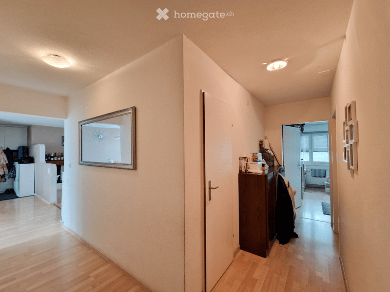 Empty corridor, wooden floors, lights on the ceiling, white walls, mirror on the wall, wardrobe on the other end.