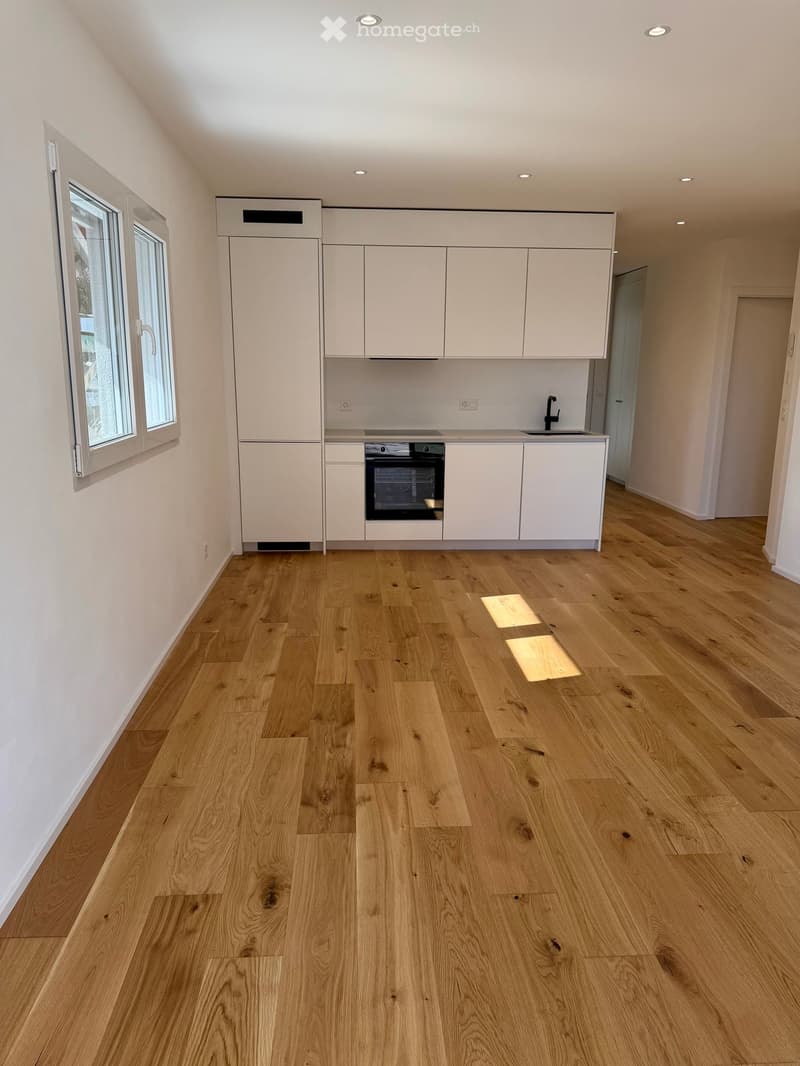 modern kitchen with white cabinets, wooden floor, built-in oven, sink, window