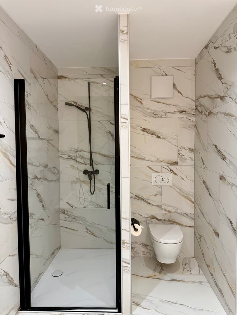 modern bathroom with marble tiles, glass shower enclosure, white toilet, wall-mounted toilet paper holder