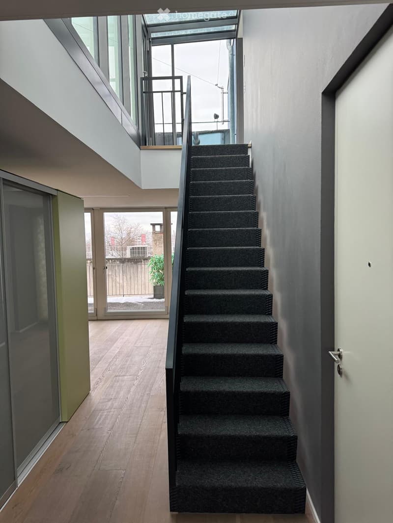Staircase with carpeted steps, wooden floor, glass doors, balcony with railings, potted plant