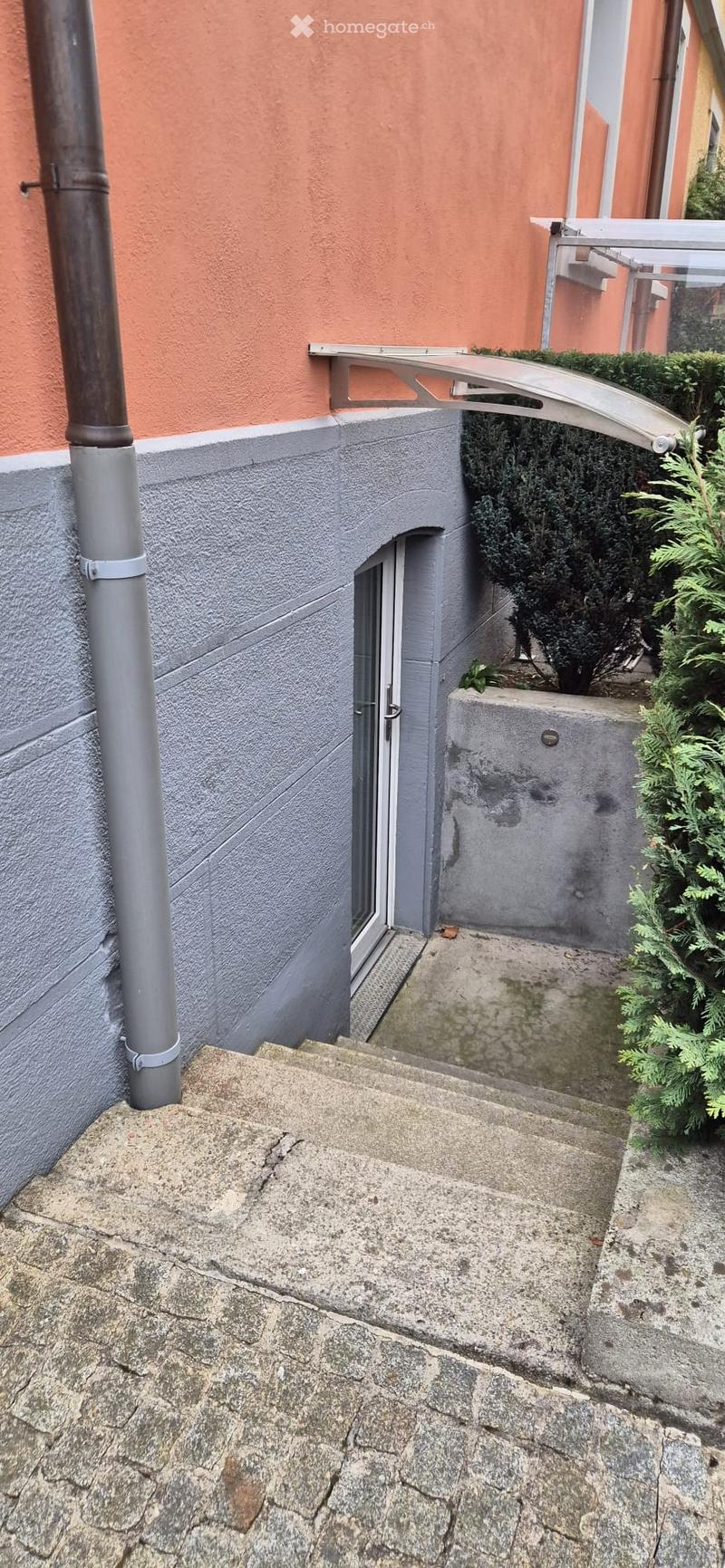 Raised ground floor, entrance with steps, gray wall, orange wall, metal pipe, glass door, plants