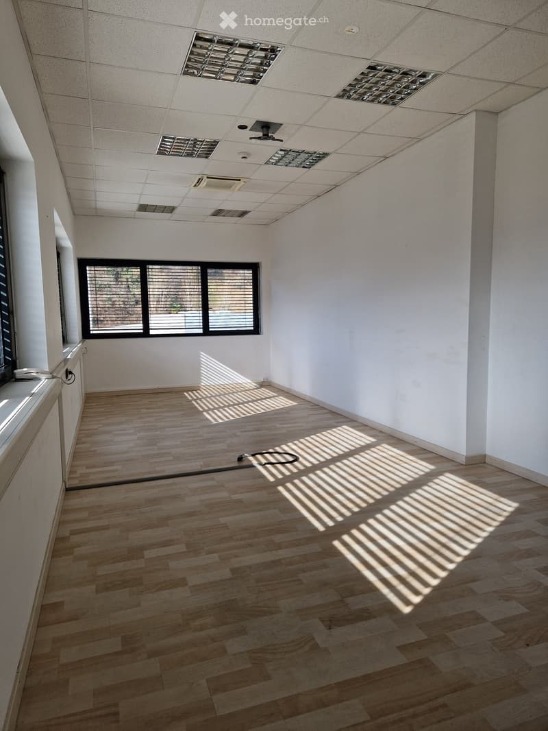 empty room, wooden floor, white walls, windows with blinds, ceiling with lights