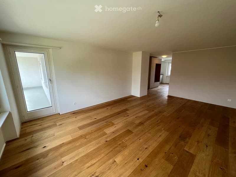 Empty room with wooden floor, white walls, glass door, white ceiling, light fixture