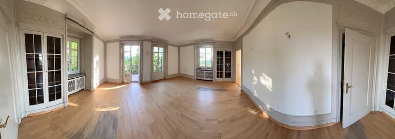 large room, wooden floor, white walls, glass doors, balcony, windows