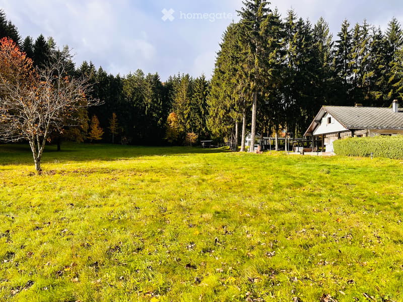 Magnifique chalet sur 4 hectares avec étang privé et vue exceptionnelle à Lauw (4)