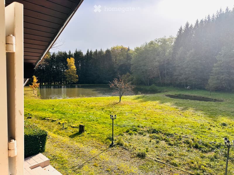 Magnifique chalet sur 4 hectares avec étang privé et vue exceptionnelle à Lauw (2)
