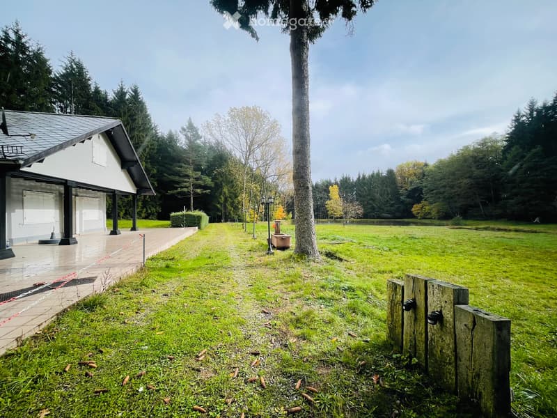 Magnifique chalet sur 4 hectares avec étang privé et vue exceptionnelle à Lauw (1)