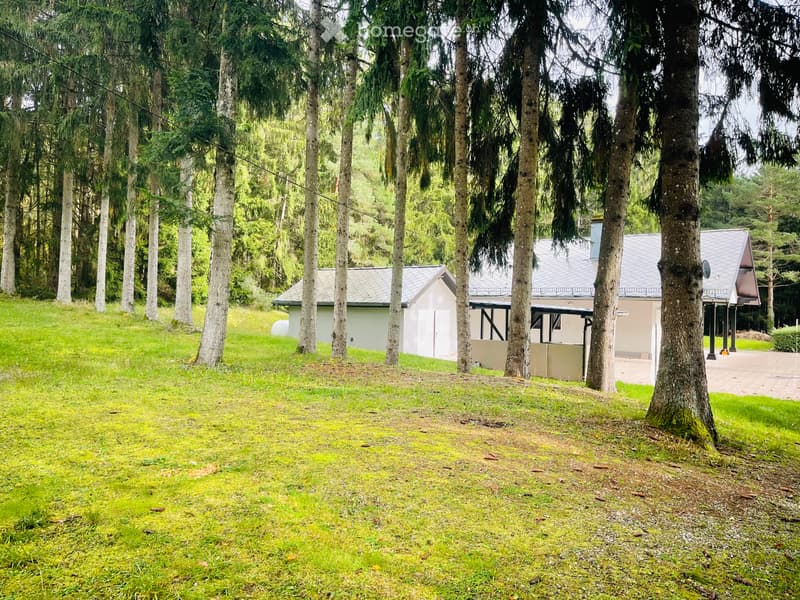 Magnifique chalet sur 4 hectares avec étang privé et vue exceptionnelle à Lauw (3)