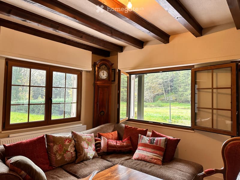 Magnifique chalet sur 4 hectares avec étang privé et vue exceptionnelle à Lauw (5)