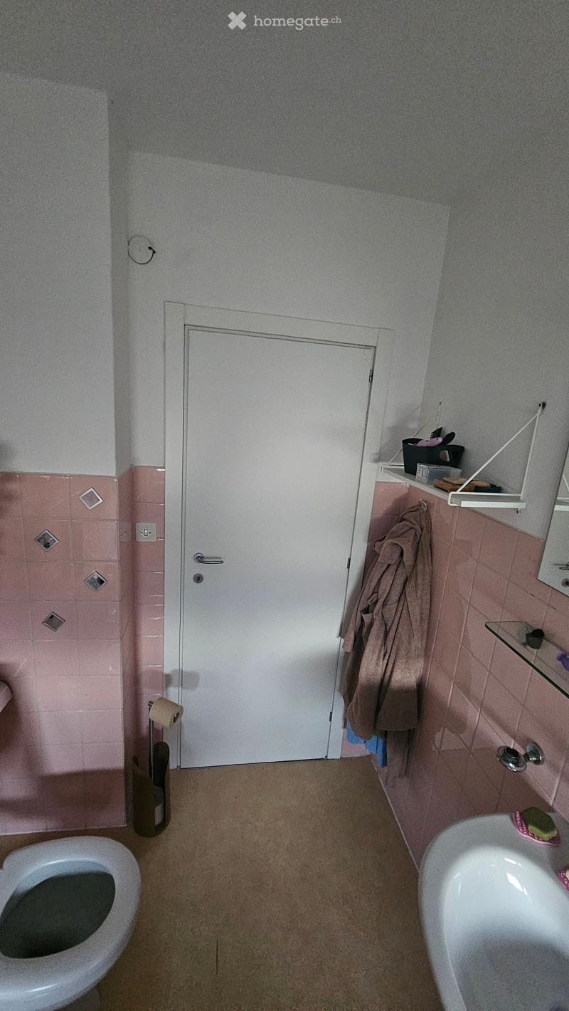 Bathroom with pink tiles, white door, toilet, sink, towel rack, mirror, shelves