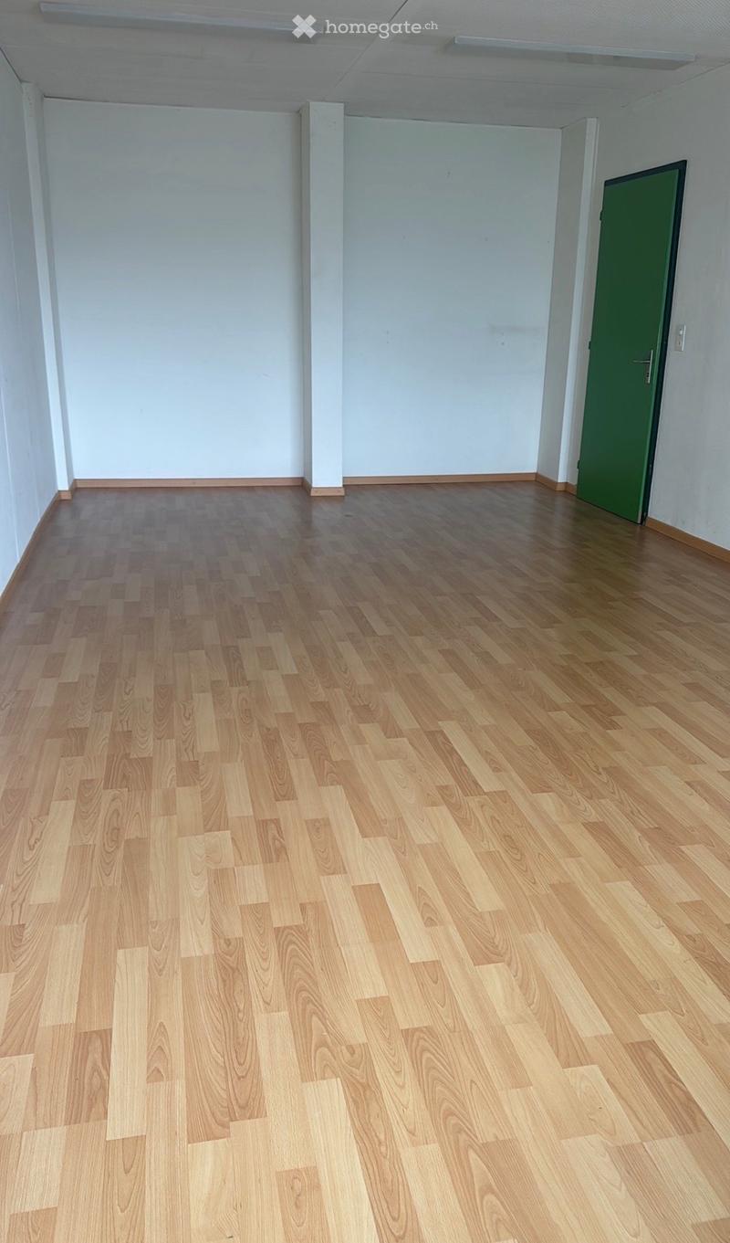 empty room, wooden floor, white walls, green door, ceiling lights