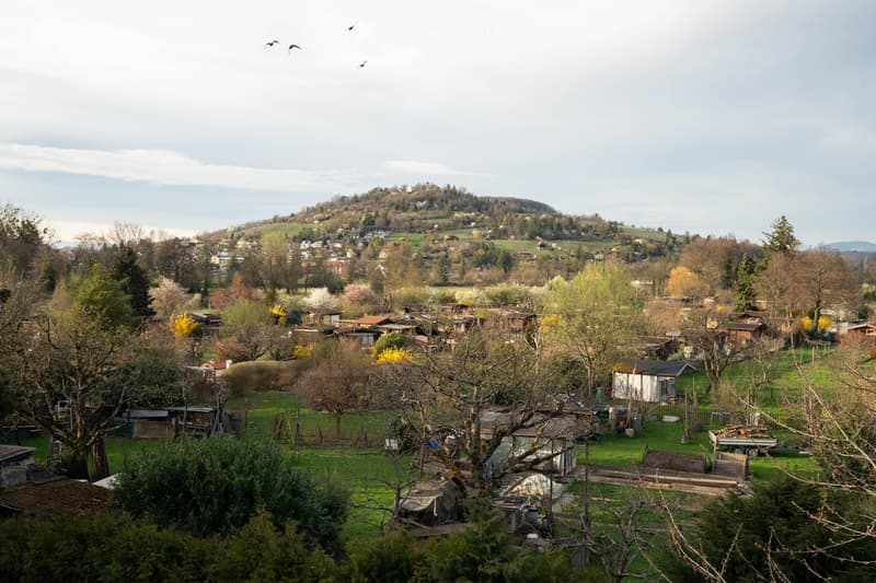 hillside with houses, green grass, trees, small buildings, distant mountain