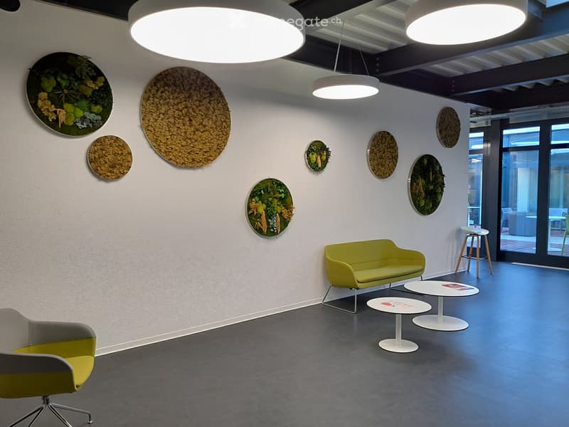 modern office room with white walls, gray floor, green sofa, white tables, round wall art, ceiling lights