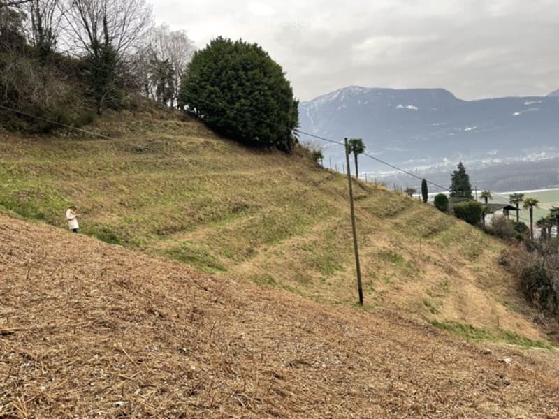 A hill with a mix of green and brown grass, bare trees, mountains in the background, and a person standing.