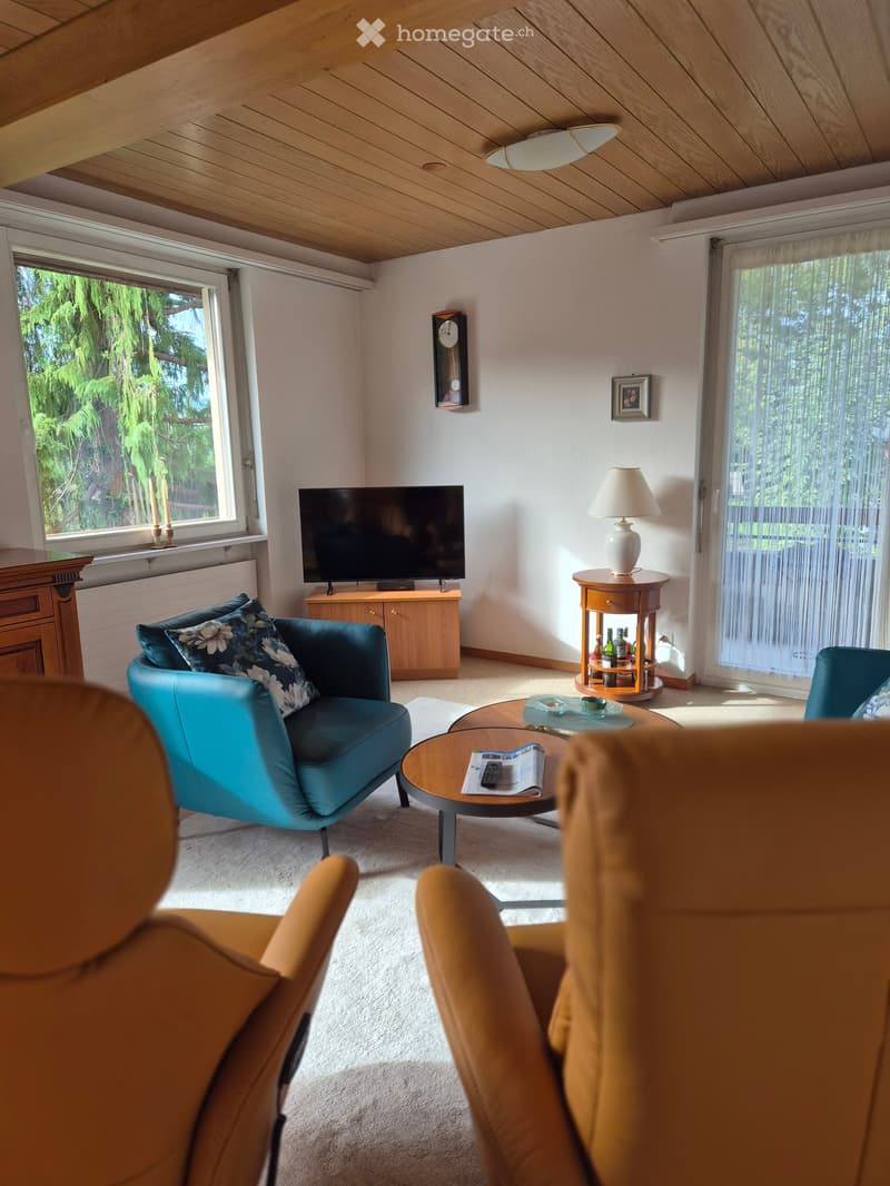living room with wooden ceiling, white walls, beige carpet, blue armchairs, wooden coffee table, TV, lamp, wooden side table, picture frame, clock, radiator, large windows