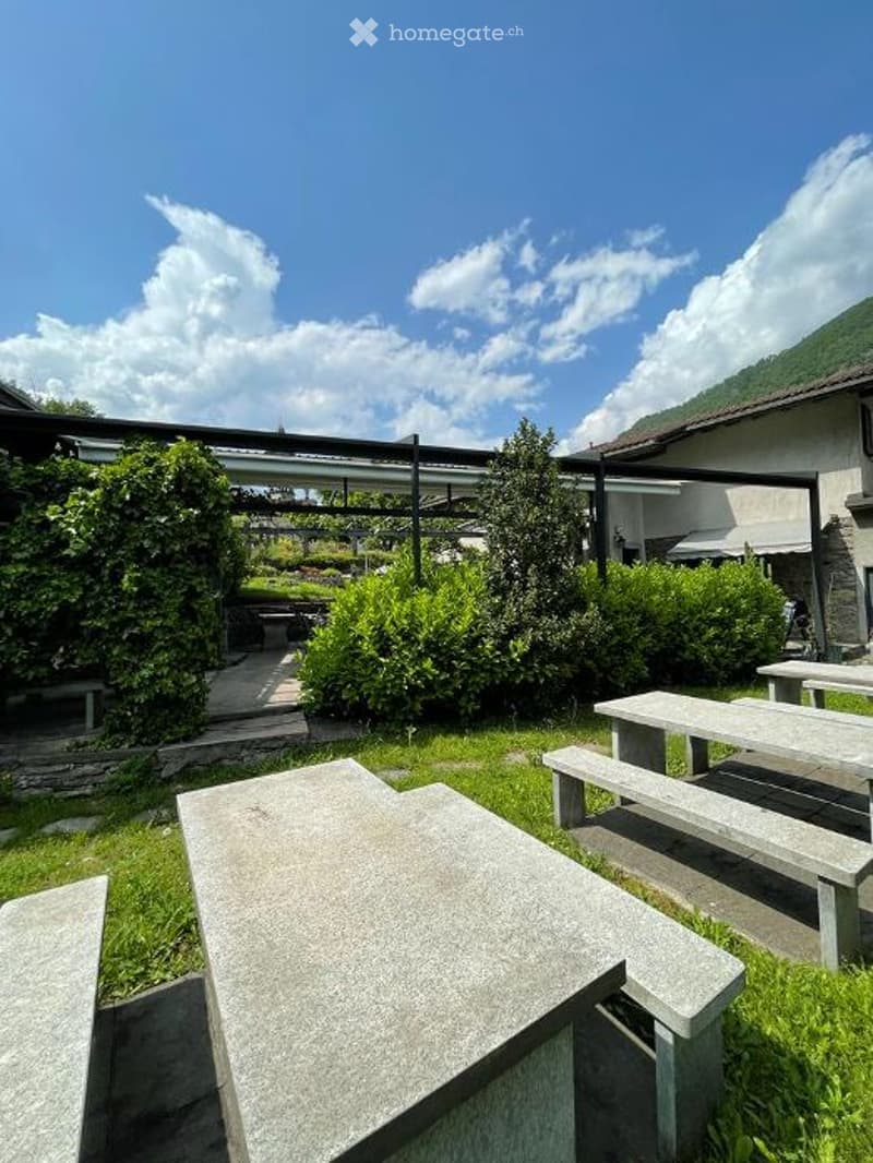 Outdoor seating area with stone benches, green grass, bushes, and a metal canopy.