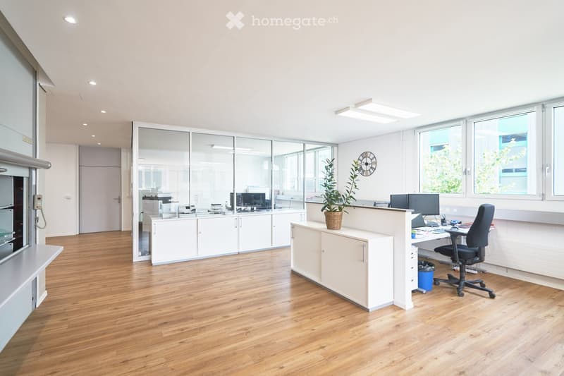 modern office, wooden floor, glass walls, white cabinets, desk, computer, plants, clock