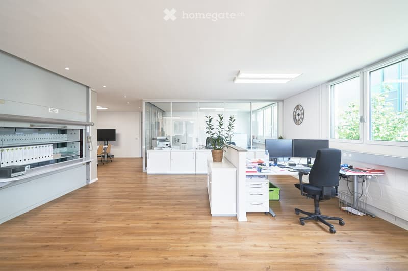 modern office, wooden floor, glass walls, white cabinets, large windows, plants, office equipment