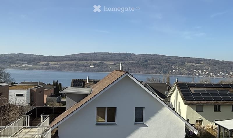Detached house, white exterior, brown roof, solar panels, lake view, neighboring houses