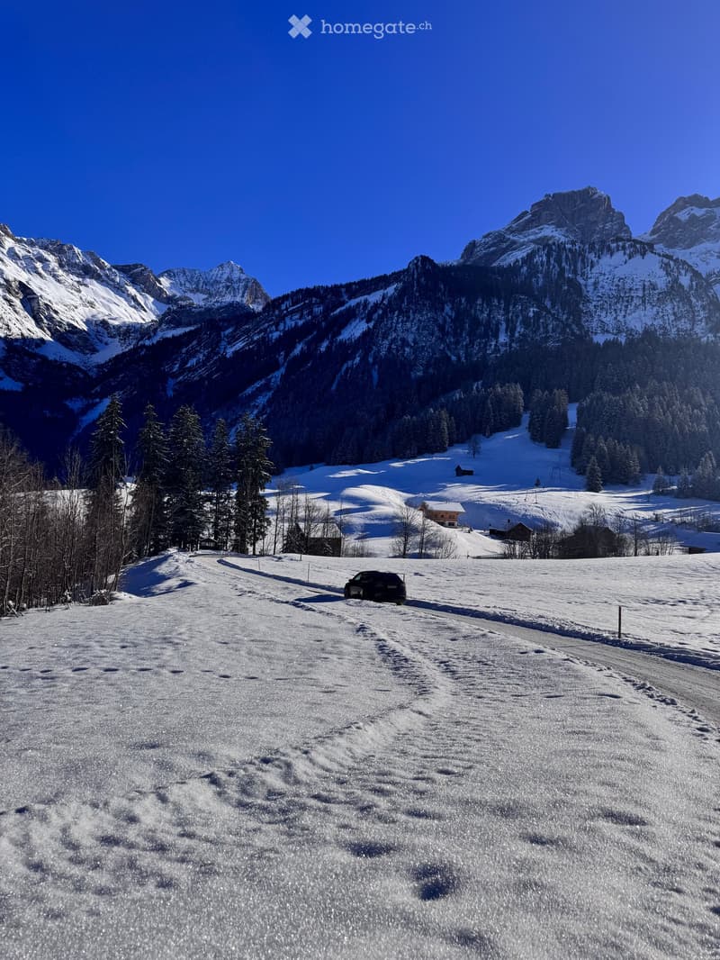 Chalet à Gstaad (49)