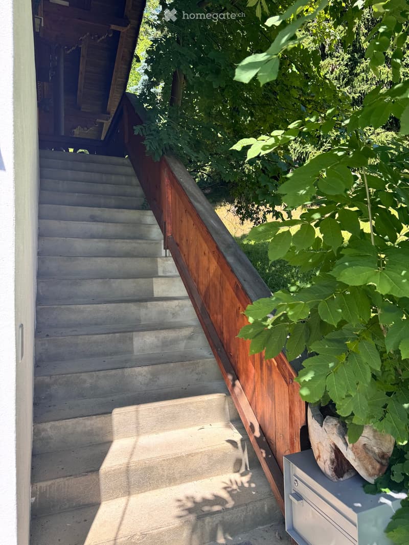 concrete stairs leading to a wooden handrail, a mailbox, and a large tree