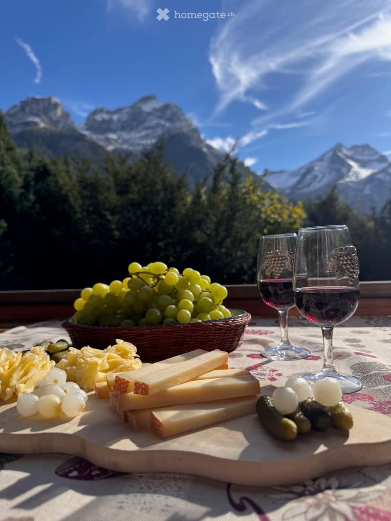 Table with cheese, wine, grapes, and pickles with a scenic mountain view