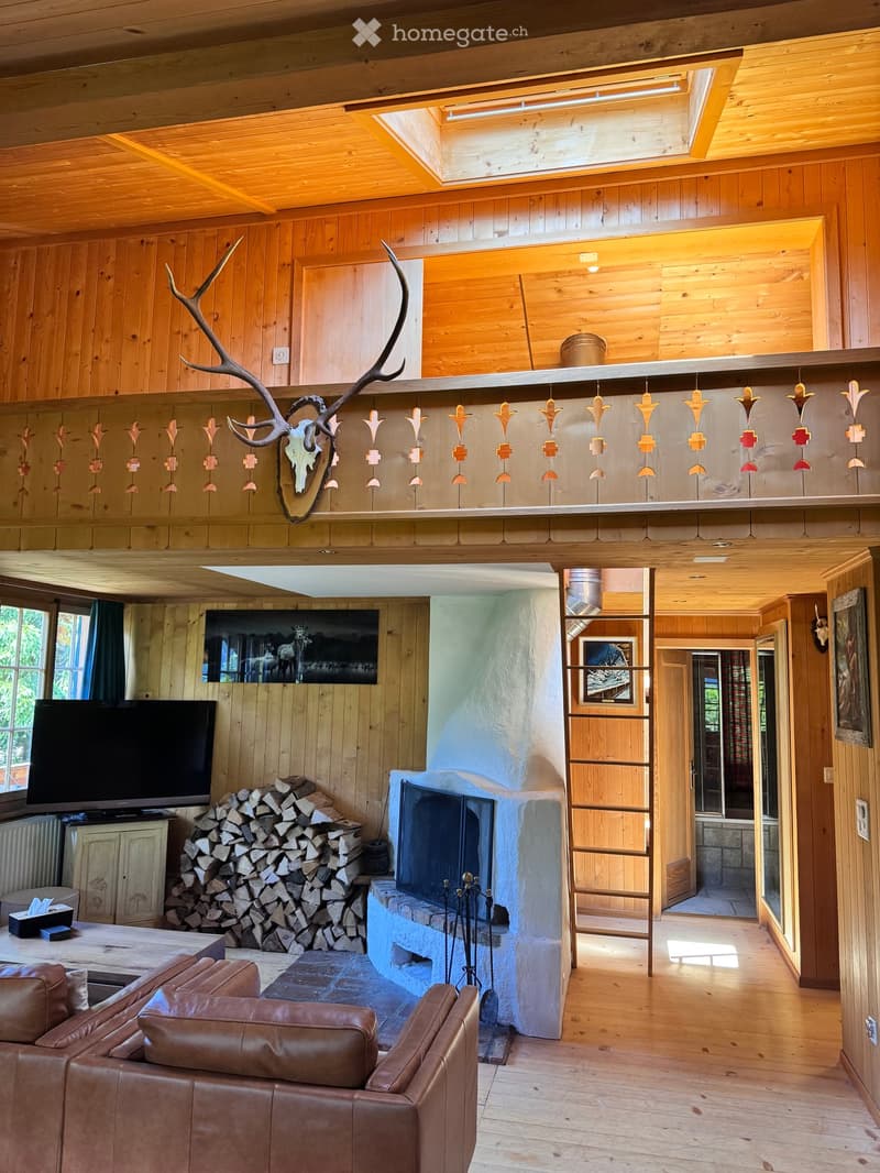 wooden walls, fireplace, deer antlers, ladder, couch, television, wooden table