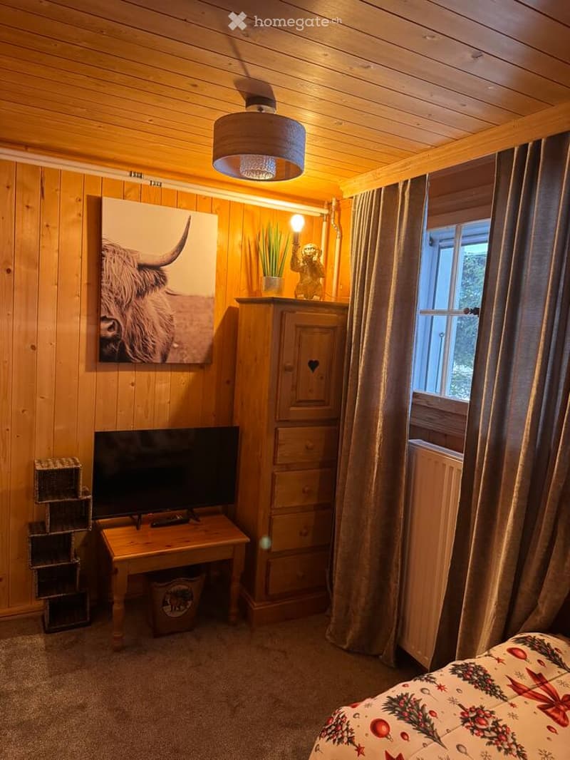 bedroom with wooden walls, bed, TV, cabinet, radiator, window, curtains, picture, plant, lamp