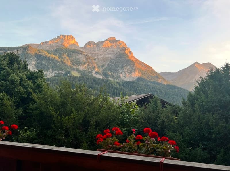 Chalet à Gstaad (44)