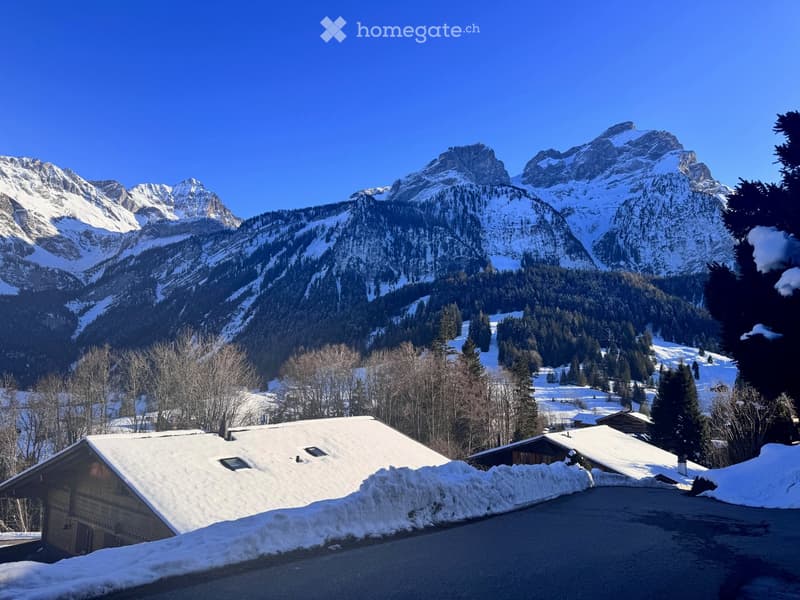 Chalet à Gstaad (47)
