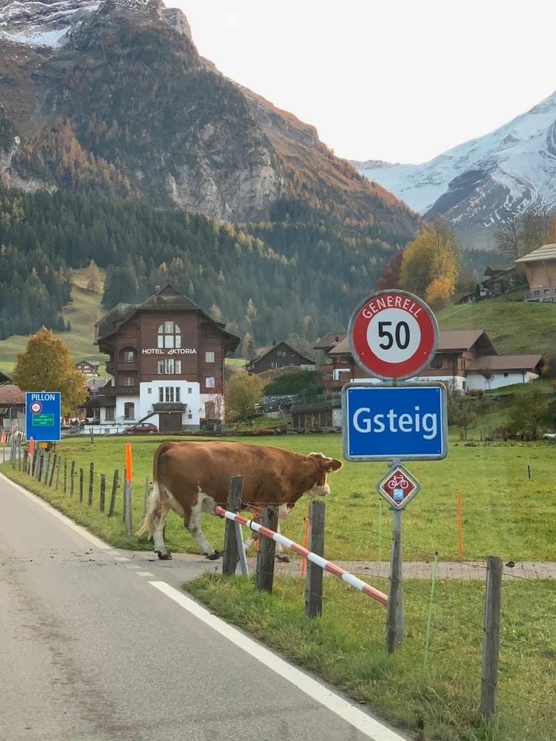 Chalet à Gstaad (51)