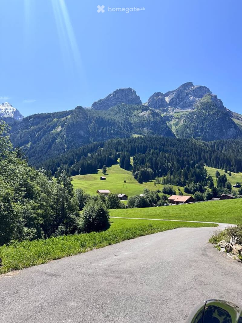 green grass, mountains, houses, road, trees, clear sky