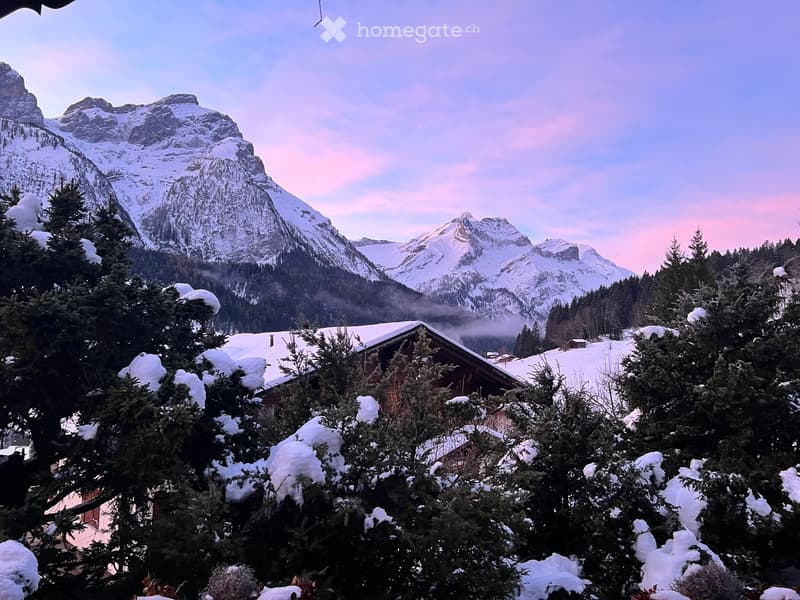 Chalet à Gstaad (46)