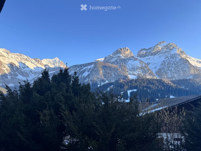 Chalet à Gstaad (45)