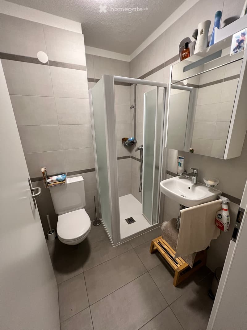 Bathroom with toilet, shower, sink, mirror, and wooden bench