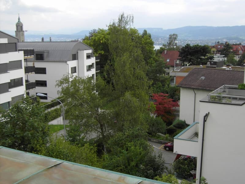 Aerial view of a neighborhood with multiple buildings, trees, and a road.