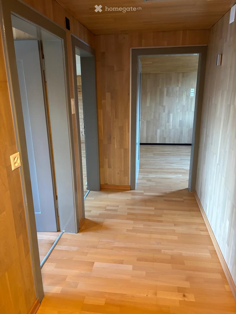 Empty hallway with wooden floors and walls, three doors