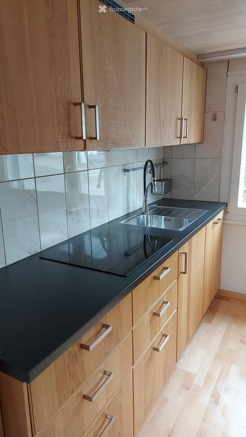modern kitchen with wooden cabinets, black countertops, stainless steel sink, induction cooktop, dishwasher